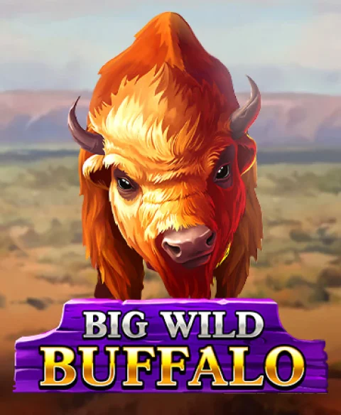 Play Big Wild Buffalo at 77 Spins Casino